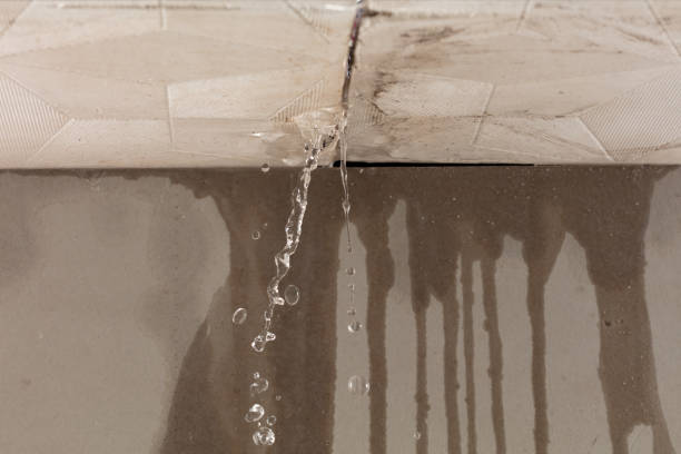 Professional Sewage Cleanup technician working in Round Lake, IL